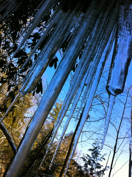 Winter on the Sheltowee Trace - 4.jpg